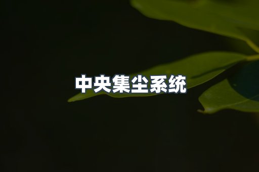 中央集尘系统